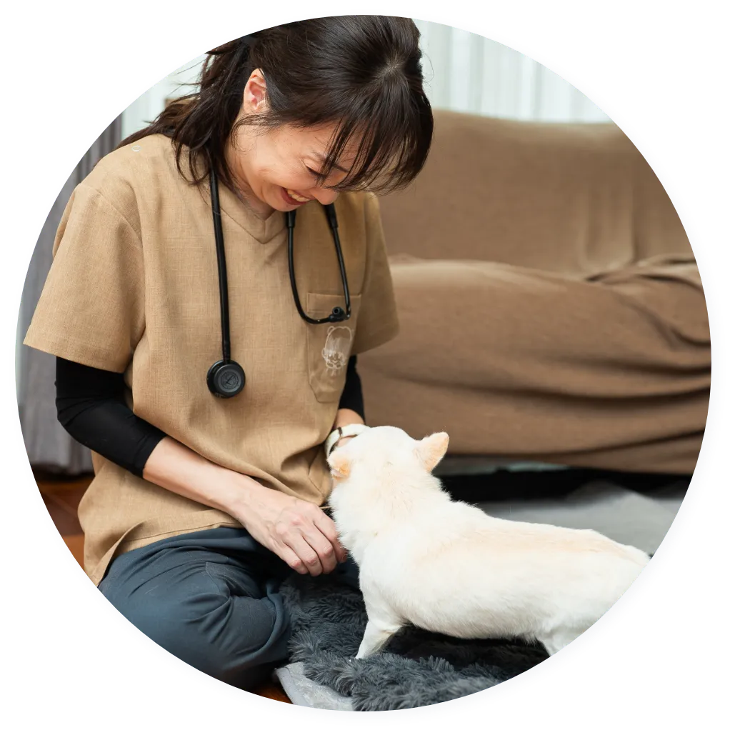 RYCKAペットクリニックが大切にしていること