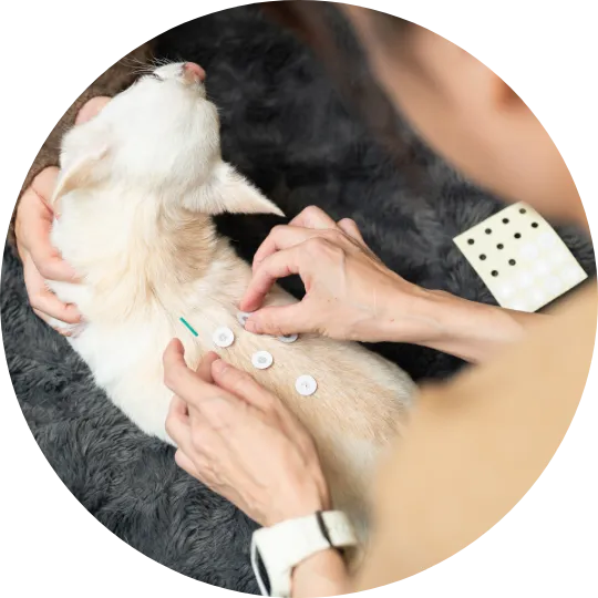 治療リハビリなど