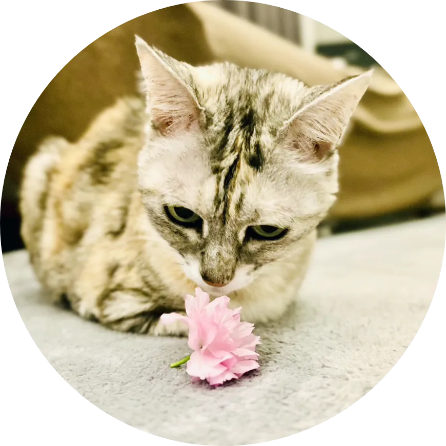 一緒に考えていく診療の様子